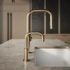Beverage faucet^Kohler Hot