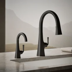 Beverage faucet^Kohler New