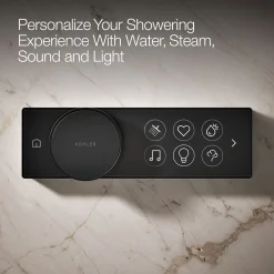 Digital control^Kohler Best