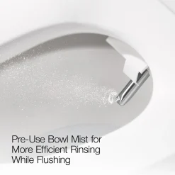 Dual-Wand Elongated bidet toilet seat with remote control^Kohler