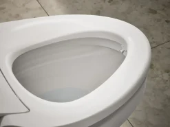 Dual-Wand Elongated bidet toilet seat with remote control^Kohler