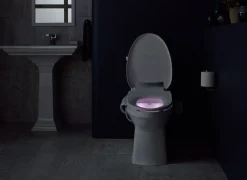 Elongated bidet toilet seat^Kohler New