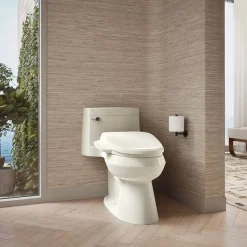 Elongated bidet toilet seat^Kohler Sale
