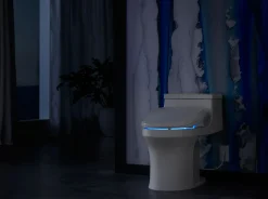 Elongated bidet toilet seat^Kohler Sale