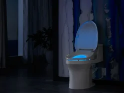 Elongated bidet toilet seat^Kohler Sale