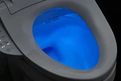 Elongated bidet toilet seat^Kohler Sale