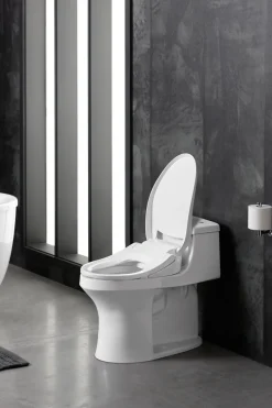 Elongated bidet toilet seat^Kohler Outlet