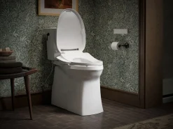 Elongated bidet toilet seat with remote control^Kohler Hot