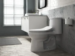 Elongated manual bidet toilet seat^Kohler New