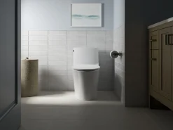 Elongated toilet seat^Kohler New