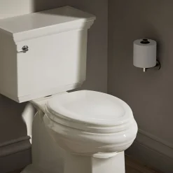 Elongated toilet seat^Kohler Online