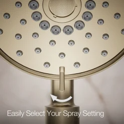 Four-function handshower, 2.5 gpm^Kohler Clearance