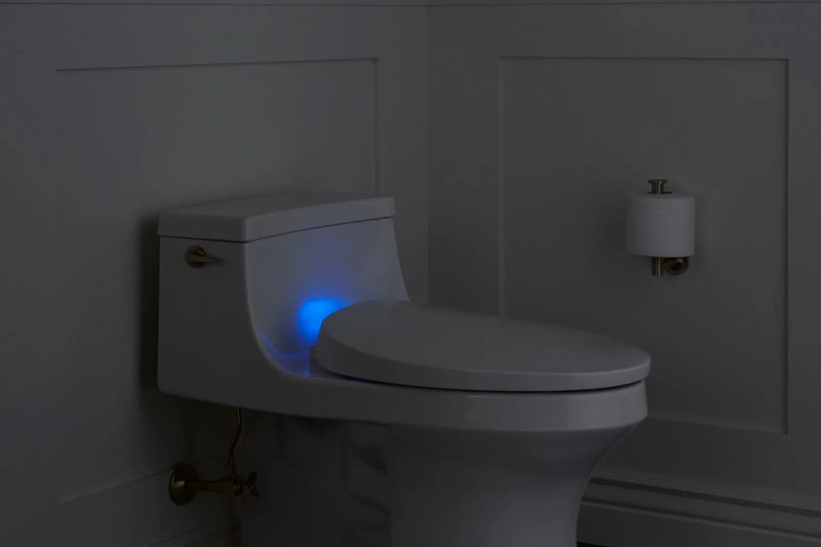 Heated Quiet-Close™ elongated toilet seat^Kohler Sale