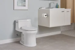 Heated round-front toilet seat^Kohler Outlet