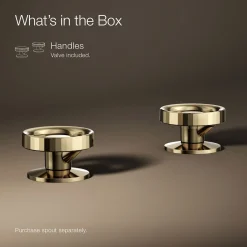 Industrial bathroom sink faucet handles^Kohler Outlet
