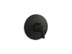 MasterShower® temperature control valve trim with Lever handle^Kohler Clearance