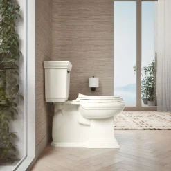 Nightlight ReadyLatch® Quiet-Close™ elongated toilet seat^Kohler Clearance
