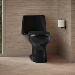 One-piece compact elongated 1.6 gpf toilet with Revolution 360® swirl flushing technology^Kohler Outlet