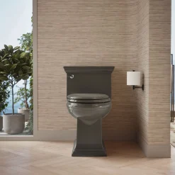 One-piece compact elongated toilet with skirted trapway, 1.28 gpf^Kohler Best
