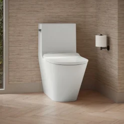 One-piece compact elongated toilet with skirted trapway, dual-flush^Kohler Outlet