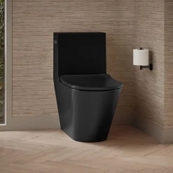 One-piece compact elongated toilet with skirted trapway, dual-flush^Kohler Outlet