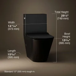 One-piece compact elongated toilet with skirted trapway, dual-flush^Kohler Outlet