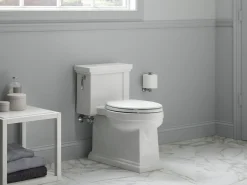 One-piece compact elongated toilet with skirted trapway, 1.28 gpf^Kohler Sale