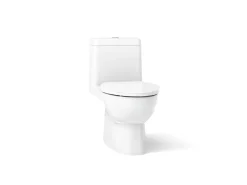 One-piece compact elongated toilet with skirted trapway, dual-flush^Kohler