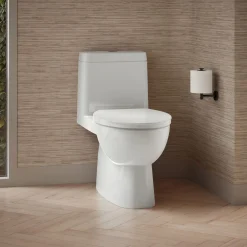 One-piece compact elongated toilet with skirted trapway, dual-flush^Kohler