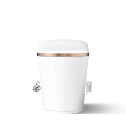 One-piece elongated smart toilet, dual-flush^Kohler Clearance