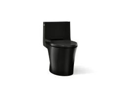 One-piece elongated toilet with skirted trapway, dual-flush^Kohler Hot