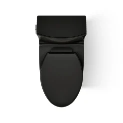 One-piece elongated toilet with skirted trapway, dual-flush^Kohler Hot