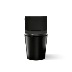 One-piece elongated toilet with skirted trapway, dual-flush^Kohler Hot