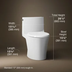 One-piece elongated toilet with skirted trapway, dual-flush^Kohler Hot