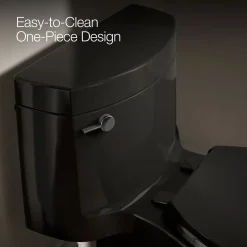 One-piece elongated toilet with concealed trapway, 1.28 gpf^Kohler Outlet