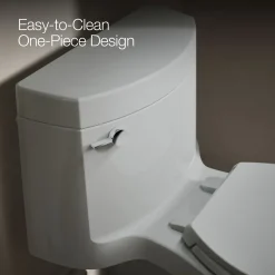 One-piece elongated toilet with concealed trapway, 1.28 gpf^Kohler Outlet