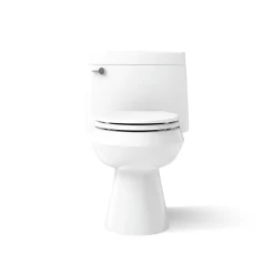 One-piece elongated toilet with concealed trapway, 1.28 gpf^Kohler Outlet