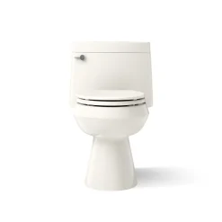One-piece elongated toilet with concealed trapway, 1.28 gpf^Kohler Outlet