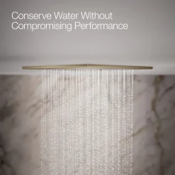 Overhead shower panel with four 22-nozzle sprayheads^Kohler