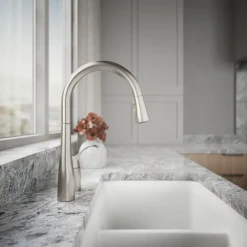 Pull-down kitchen sink faucet with three-function sprayhead^Kohler New