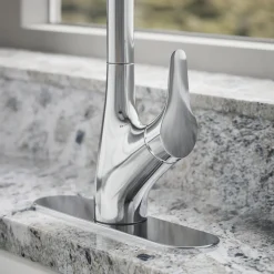 Pull-down kitchen sink faucet with two-function sprayhead^Kohler New