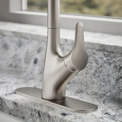 Pull-down kitchen sink faucet with two-function sprayhead^Kohler New
