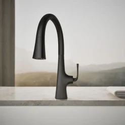 Pull-down kitchen sink faucet with three-function sprayhead^Kohler Discount