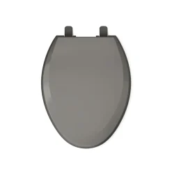 Quick-Release™ elongated toilet seat^Kohler Hot