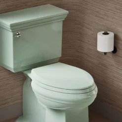 Quick-Release™ elongated toilet seat^Kohler Hot