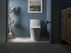 Quiet-Close™ elongated toilet seat^Kohler