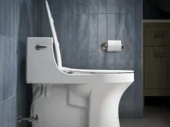 Quiet-Close™ elongated toilet seat^Kohler Discount