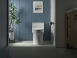 Quiet-Close™ elongated toilet seat^Kohler