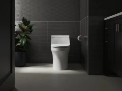 ReadyLatch® Quiet-Close™ elongated toilet seat^Kohler Best