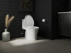 ReadyLatch® Quiet-Close™ elongated toilet seat^Kohler Discount